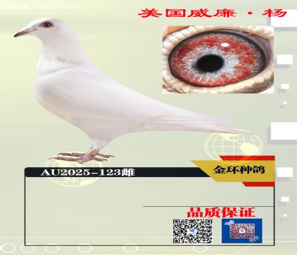 ���ָ� 550����ھ�ֱ��Ů123