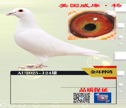 ���ָ� 550����ھ�ֱ��124