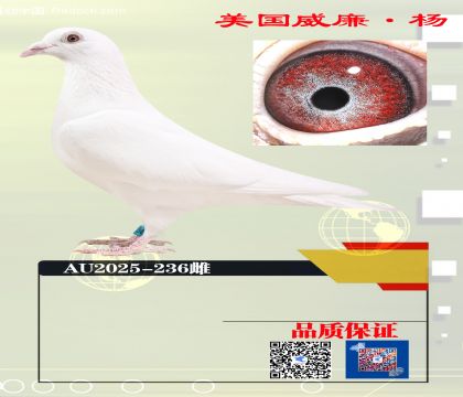 550����ھ����׻�Ѫ236