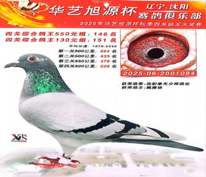 �Ĺظ���146��