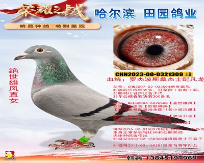 �����۷�ֱŮ309