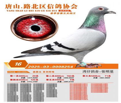 ������ظ���16��