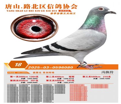 ������ظ���18��