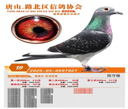 ������ظ���19��