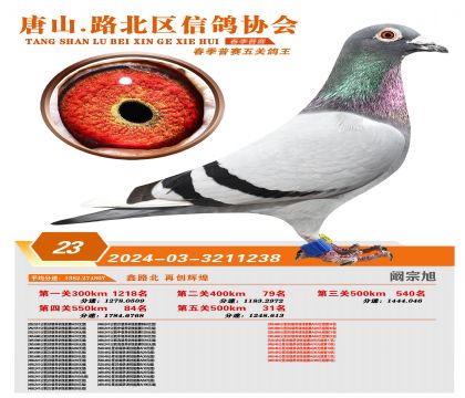 ������ظ���23��