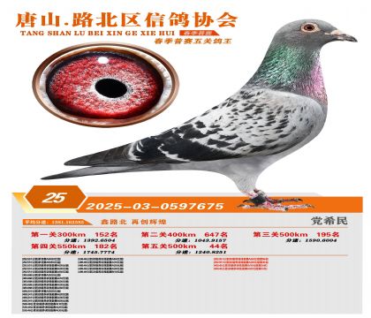 ������ظ���25��