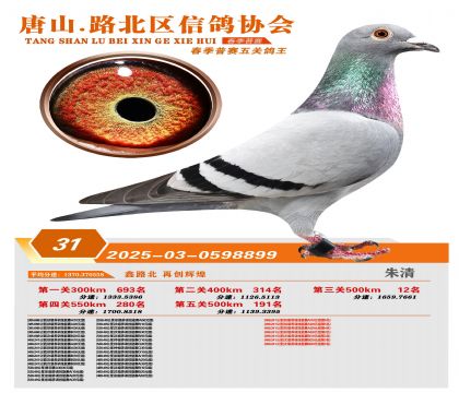 ������ظ���31��