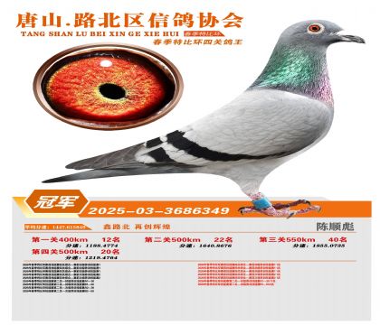 �ر��Ĺظ����ھ�
