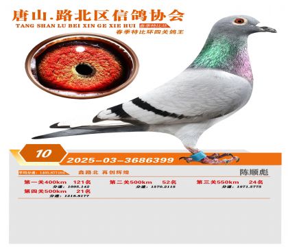 �ر��Ĺظ���10��