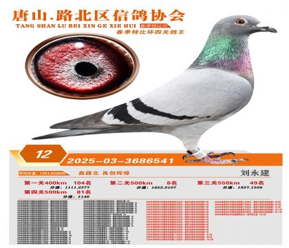 �ر��Ĺظ���12��