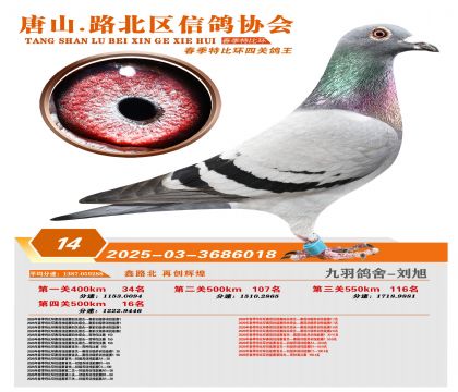 �ر��Ĺظ���14��