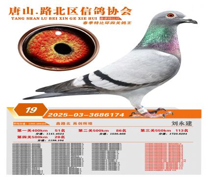 �ر��Ĺظ���19��