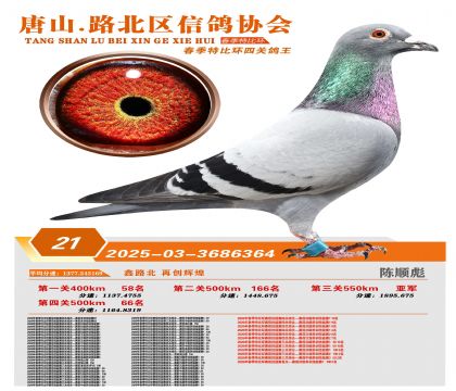 �ر��Ĺظ���21��