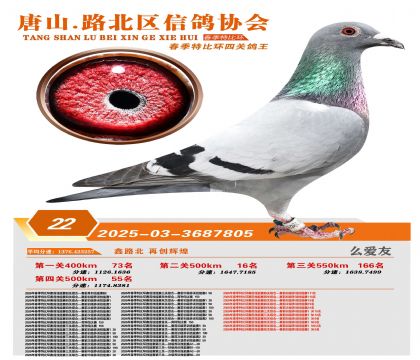 �ر��Ĺظ���22��