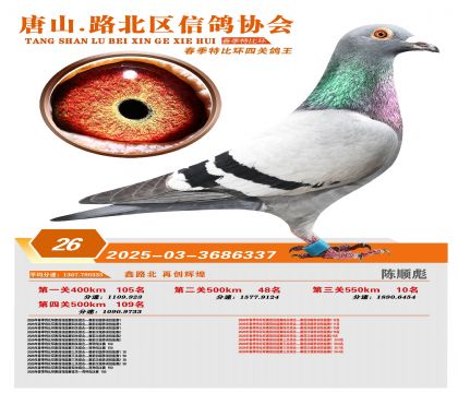 �ر��Ĺظ���26��