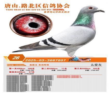 �ر��Ĺظ���28��