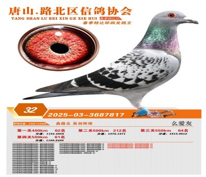 �ر��Ĺظ���32��