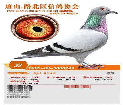 �ر��Ĺظ���33��