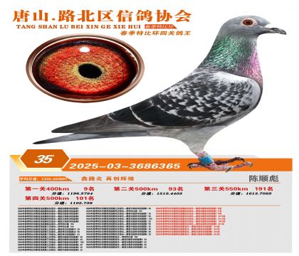 �ر��Ĺظ���35��