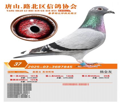 �ر��Ĺظ���37��