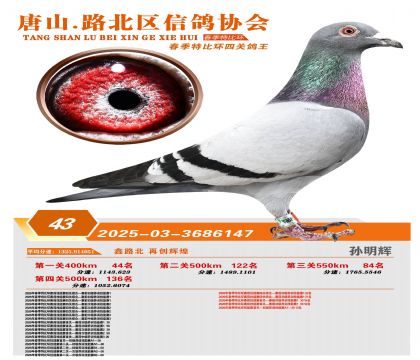 �ر��Ĺظ���43��