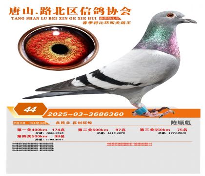 �ر��Ĺظ���44��