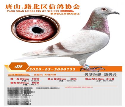 �ر��Ĺظ���49��