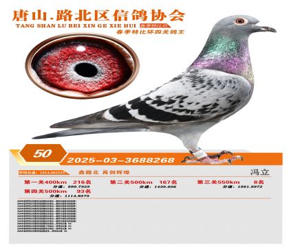 �ر��Ĺظ���50��