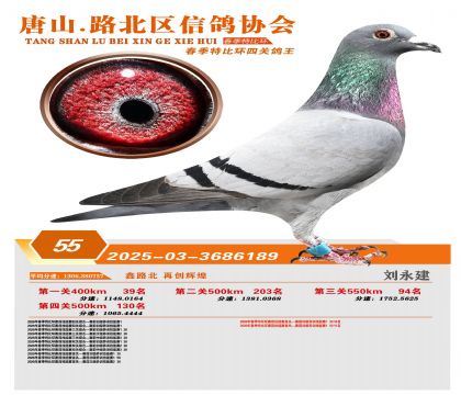 �ر��Ĺظ���55��