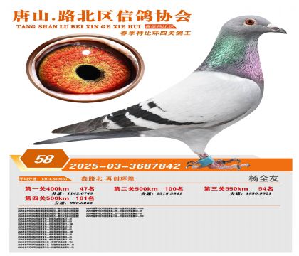�ر��Ĺظ���58��