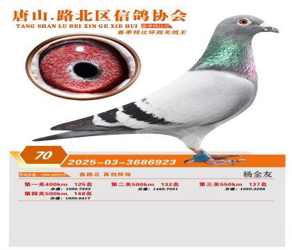 �ر��Ĺظ���70��