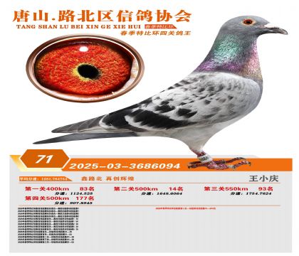 �ر��Ĺظ���71��