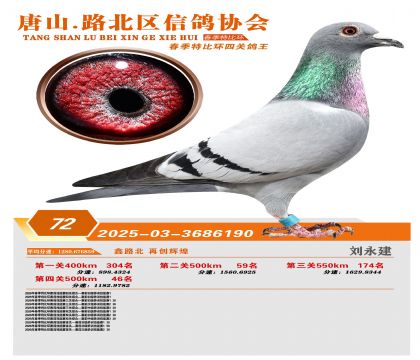 �ر��Ĺظ���72��