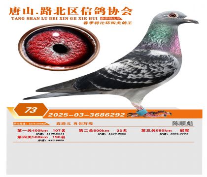 �ر��Ĺظ���73��