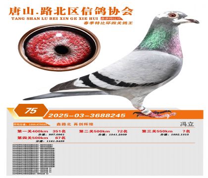 �ر��Ĺظ���75��