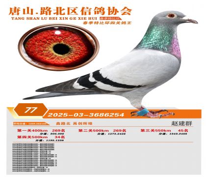 �ر��Ĺظ���77��
