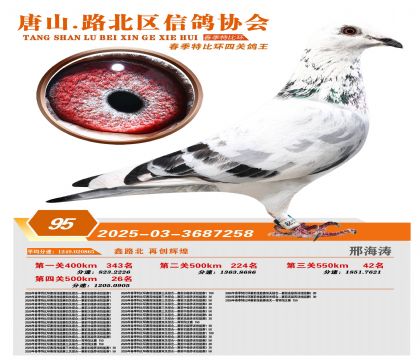 �ر��Ĺظ���95��