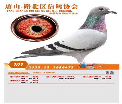 �ر��Ĺظ���101��