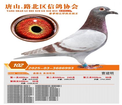 �ر��Ĺظ���102��