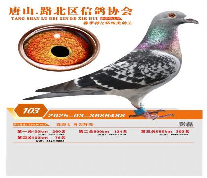�ر��Ĺظ���103��