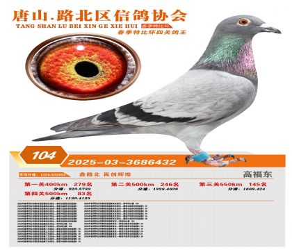 �ر��Ĺظ���104��