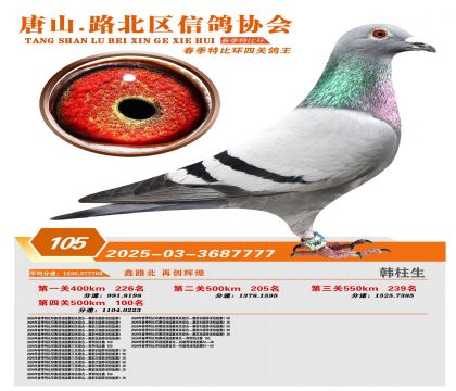 �ر��Ĺظ���105��