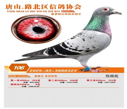 �ر��Ĺظ���106��
