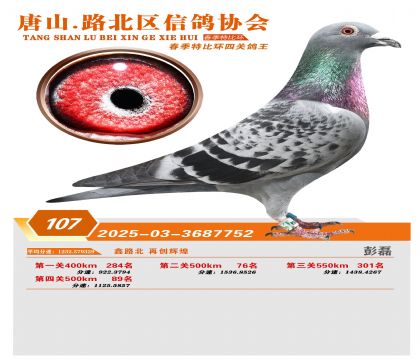 �ر��Ĺظ���107��