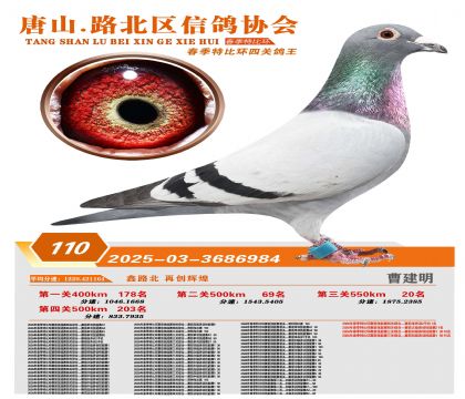 �ر��Ĺظ���110��