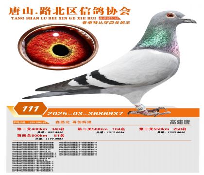 �ر��Ĺظ���111��