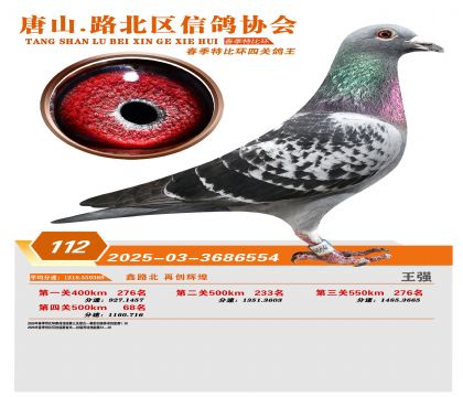 �ر��Ĺظ���112��