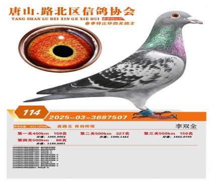 �ر��Ĺظ���114��
