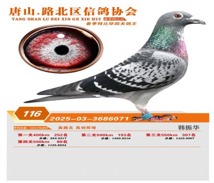 �ر��Ĺظ���116��