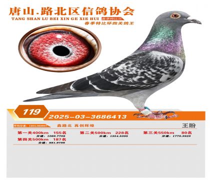 �ر��Ĺظ���119��